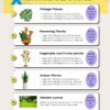 Organic Manure